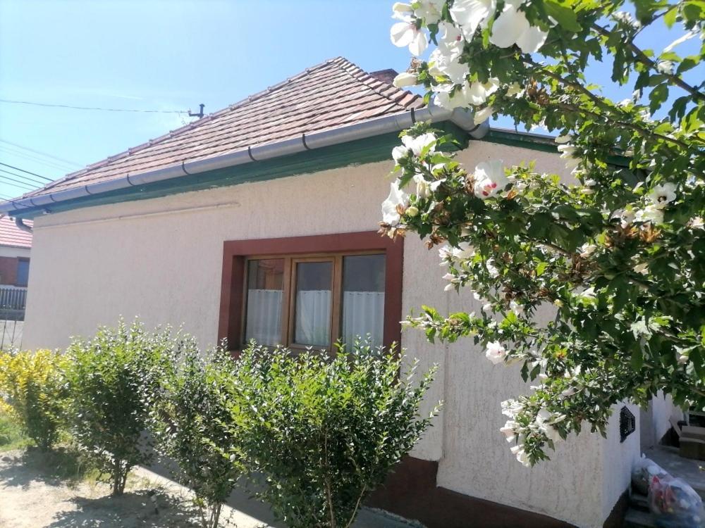 Lankas Vendeghaz - Holloko Villa Bagian luar foto